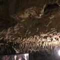 玉泉洞の写真_176801