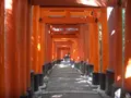 伏見稲荷大社の写真_176857