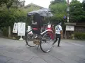ねねの道の写真_176868