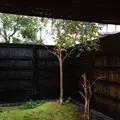 玉峰館の写真_177010