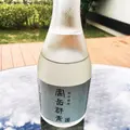 西伊豆 高級旅館 富岳群青の写真_177033