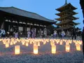 興福寺の写真_177058