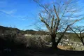 広徳寺の写真_177379