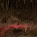 玉泉洞の写真_177536
