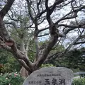 玉泉洞の写真_177550