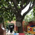 沖縄フルーツランドの写真_177556