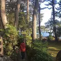 六角堂(茨城大学五浦美術文化研究所敷地内)の写真_177739