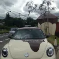 まほろば大仏プリン本舗 本店 プリンの森・カフェの写真_177836
