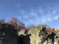 長瀞ライン下りの写真_178009