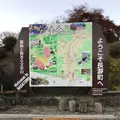 宝登山の写真_178013