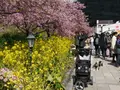 河津駅の写真_178491
