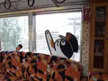 貴志駅の写真_178610