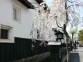 白壁土蔵街の写真_178642