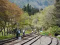 レールマウンテンバイク Gattan Go!!の写真_178663