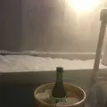 最上高湯善七乃湯 大平ホテルの写真_178716