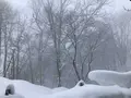 最上高湯善七乃湯 大平ホテルの写真_178729