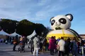 上野恩賜公園（上野公園）の写真_178956