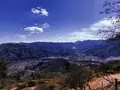 宝登山の写真_178969