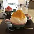 瑠庵+島色の写真_179058