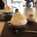 瑠庵+島色の写真_179059