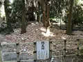 青島神社の写真_179249