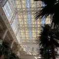 シェラトン・グランデ・オーシャンリゾート - Sheraton Grande Ocean Resortの写真_179252