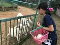 五桂池ふるさと村の写真_179299