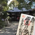 安居神社の写真_179536