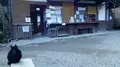 浄瑠璃寺の写真_179913