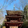 浄瑠璃寺の写真_179920