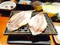 昔心の宿 金みどりの写真_180120