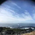 野島埼灯台の写真_180337