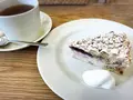 まちのシューレ 963の写真_180406