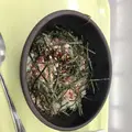 北海道大学の写真_181093