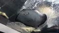 新江ノ島水族館の写真_181207