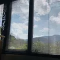 Gensen Café（ゲンセン カフェ）の写真_181253