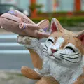 常滑駅の写真_181655