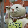 常滑駅の写真_181656