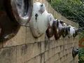 写真スポットは至る所にの写真_181665