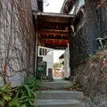 nuuの写真_181678