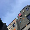 디뮤지엄の写真_181754