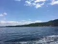 宮島桟橋の写真_181789