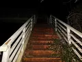 日本平パークウェイの歩道橋の写真_181988