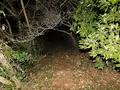 日本平パークウェイの歩道橋の写真_181996