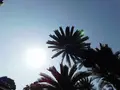 久能山東照宮の写真_182000