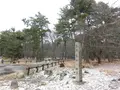 気比の松原の写真_182174