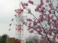 港の見える丘公園の写真_182205