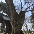 川中島古戦場の写真_183303