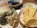 桃の木の写真_183344
