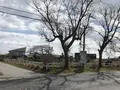 一の宮乗馬センターの写真_183395